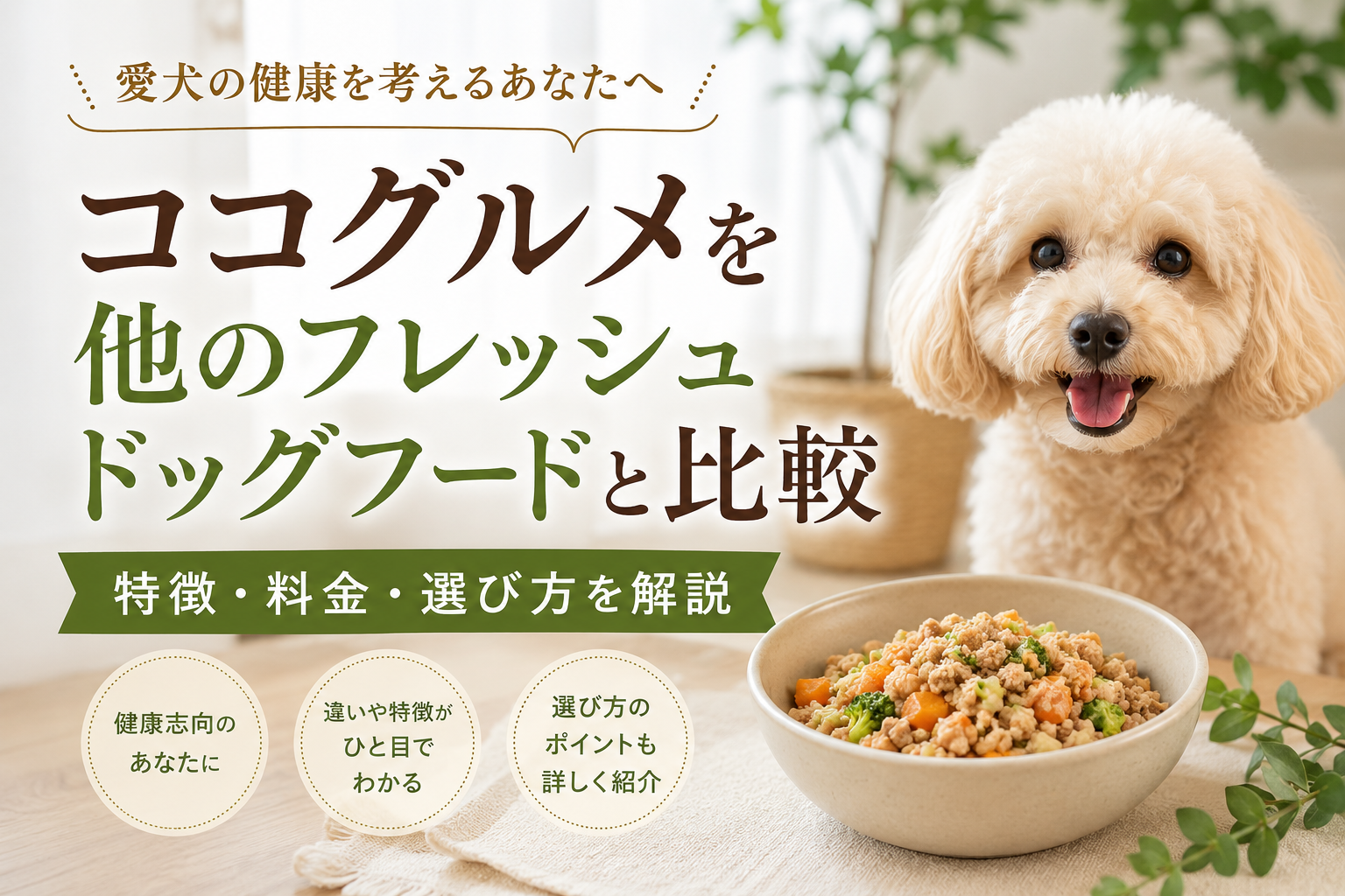 ココグルメを他のフレッシュドッグフードと比較｜特徴・料金・選び方を解説